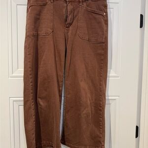 Judy Blue Chocolate Brown Pants